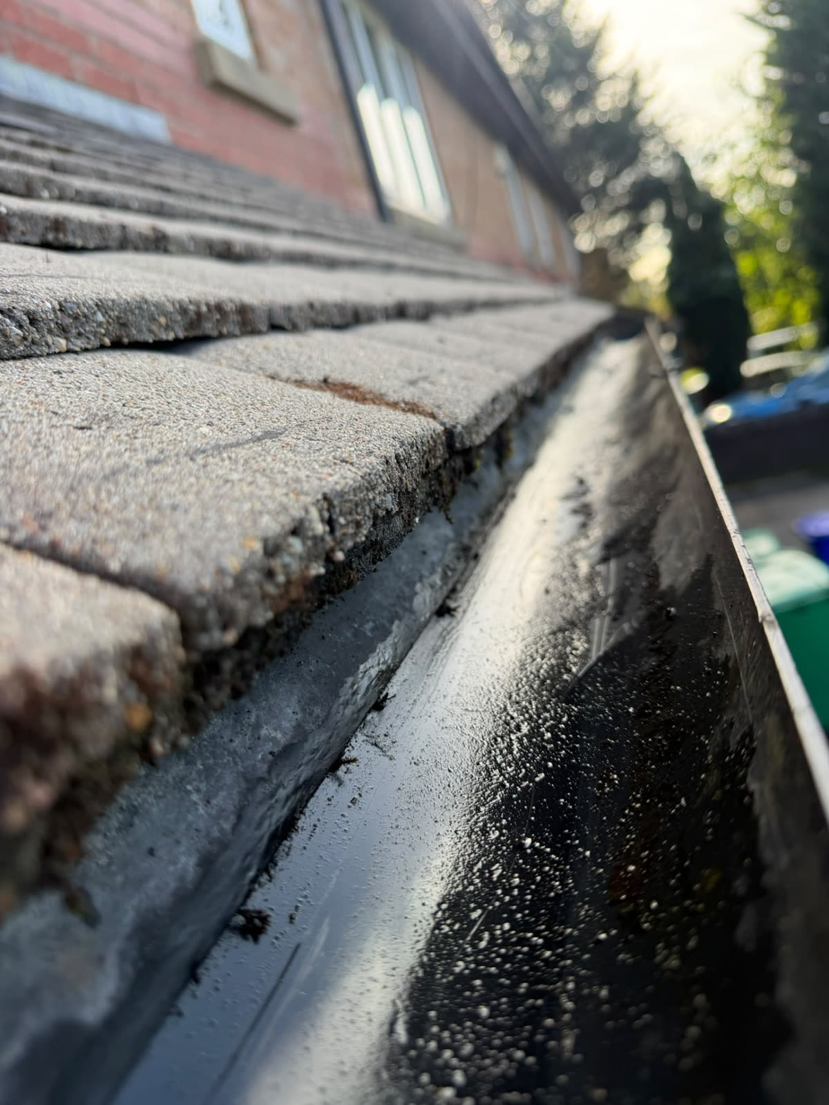Gutter after cleaning by BinBlast & Beyond, cleared of moss and debris