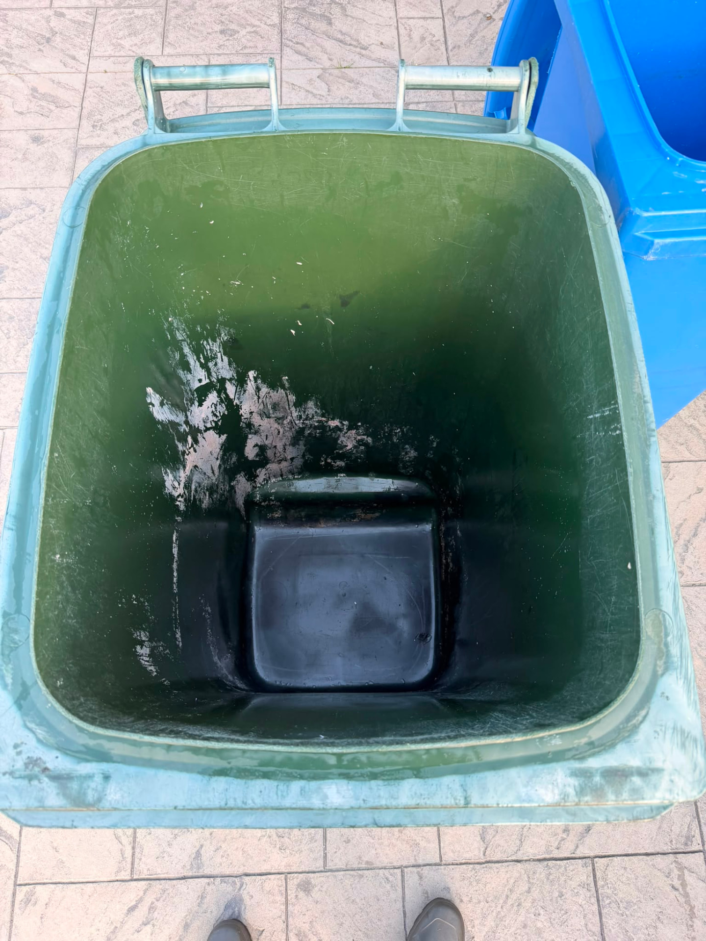 The same green wheelie bin after professional cleaning, grime and sludge washed out