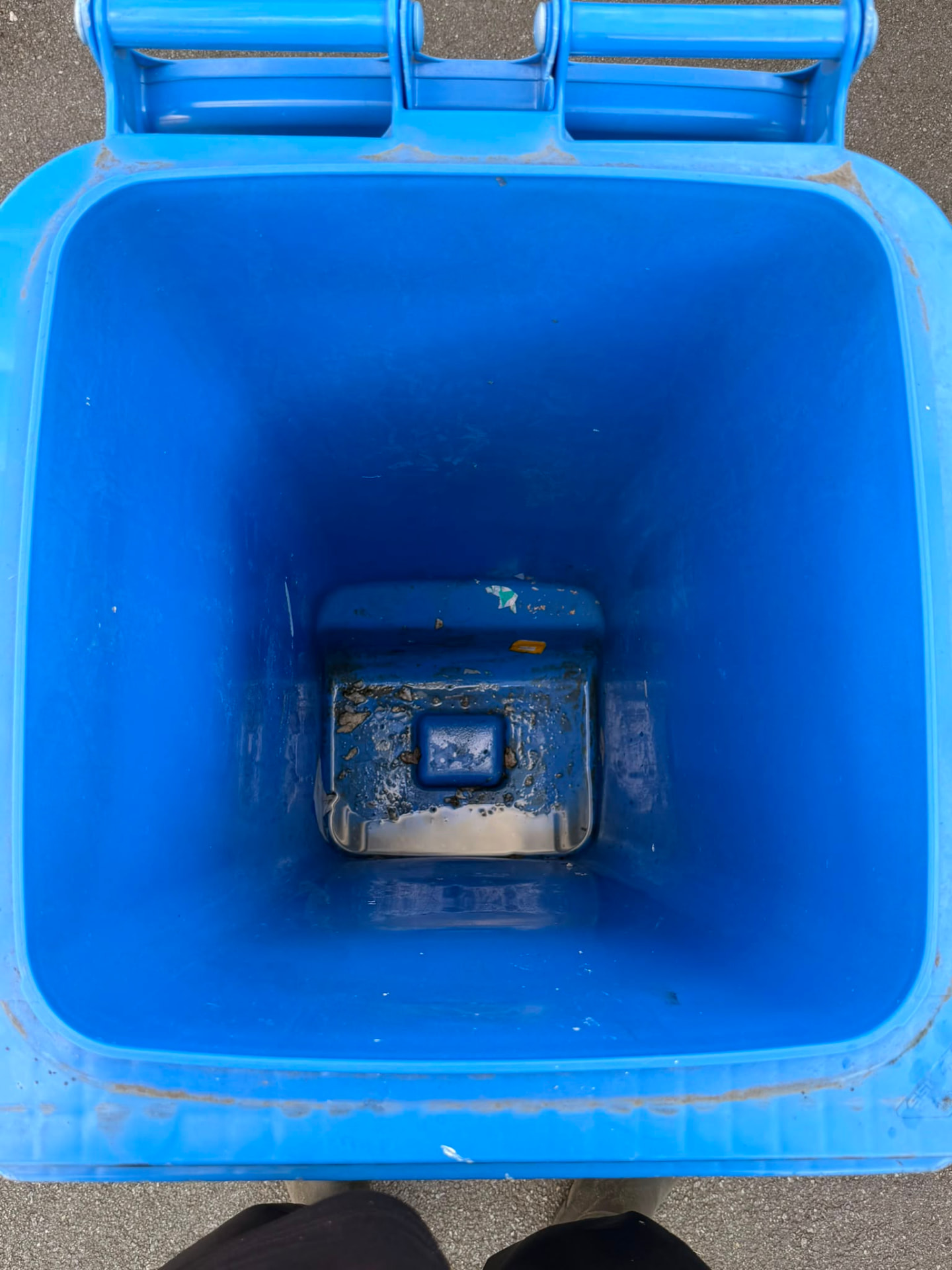 Inside of a blue recycling wheelie bin with standing water and debris before cleaning