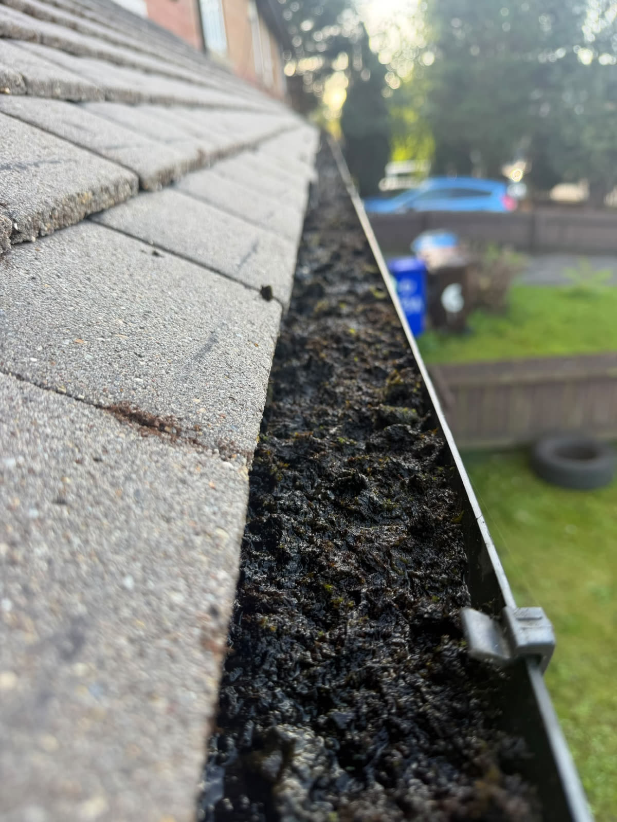 Gutter blocked with moss and debris before professional cleaning